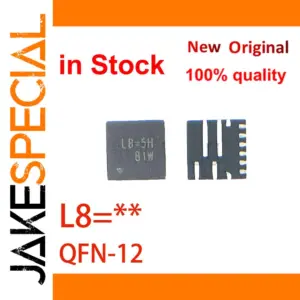RT6256B Voltage Regulator IC Set — QFN-12