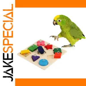 Vibrant Parrot Educational Toy 15x15 cm