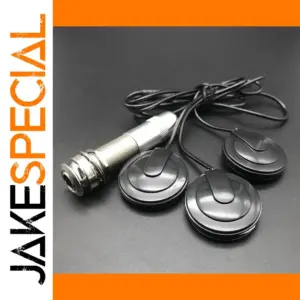 Multifunctional Guitar Pickup with Vibration Chips