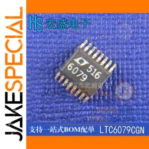 LTC6079CGN Surface-Mount Switch IC