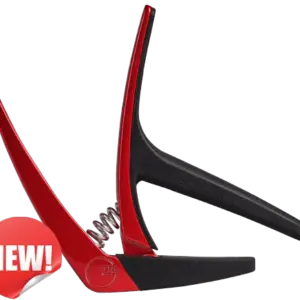 A2e43bc13ef16422586ff26d03913486bt