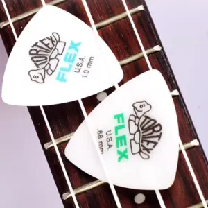 A50302a6dd9234107be013dc4995685a0L