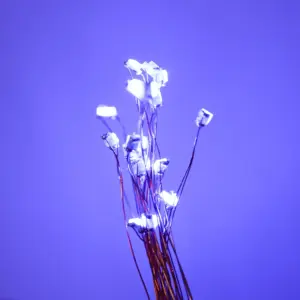 H17becd722e3c43269e9e416ee1e82a08k