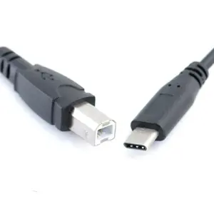 HTB1iAOEHr1YBuNjSszhq6AUsFXav