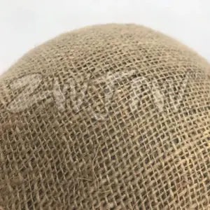 HTB1sbdKqv9TBuNjy1zbq6xpepXan