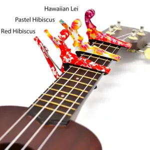 Hab314b7443574e37ab8d99f988257696p