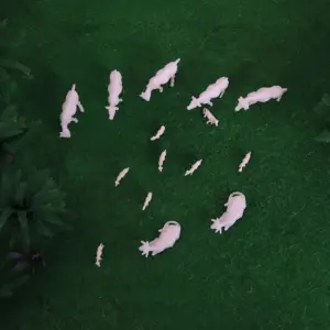 He675deab3563464d850b27c5ba97ba40f