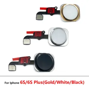 S003e8c502c3146e7b0749098ed5ba744S