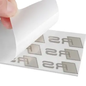 S01de09cf57c64ab4a416c58c87d79979P