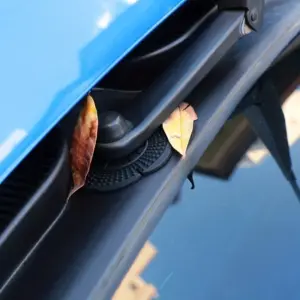 S01f8d3396a5643cb89206ddd6cd22c59C