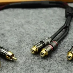 S031db3ac9a9c462ba5ddbd05ebfcdd0fv