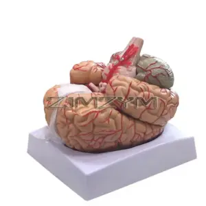 S131846e8371443649768c7c0091b9377y