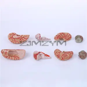 S16a8edb41cc0484891b51544c1fc232ad