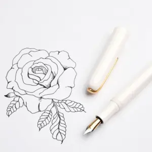 Luxury Stainless Steel Fountain Pen with Gold Accents 14 S17ded5ab964c4a6890815e828233366ai