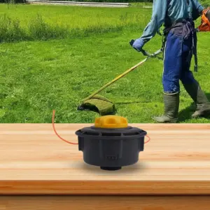 S1f8dce891b754c388e5ffbf7ba416966o