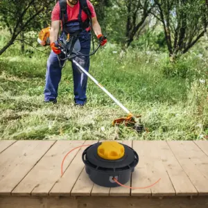 S224d1ef830db445d84265197614698eez