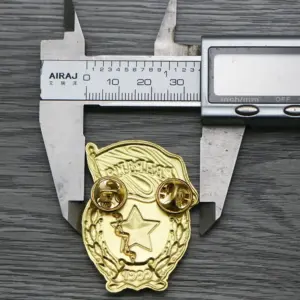 S243d53d337ca45f1a3a96d96b3c204d5v