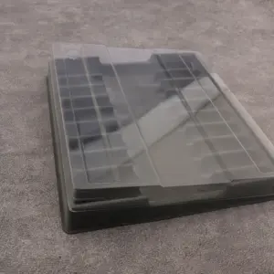 S2474712d6d084aecb9691b38b14eeb17o