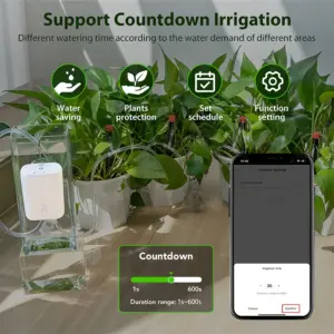 S261041c5579a442a9cf1ece9e1e04641V