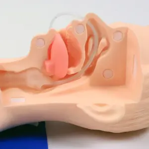 S29449de8a10a478c91259ce77f1aee931