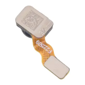 S31057a275a254f979108a31baecbe436s