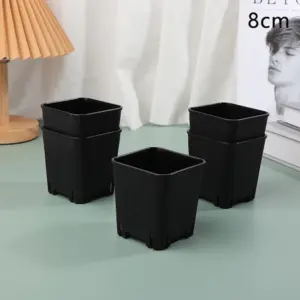 S3131e817754b48d080c2f6fbe02b2a67C