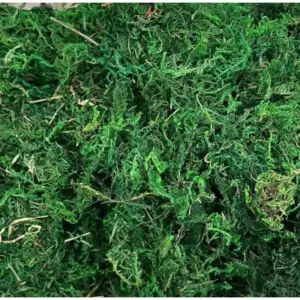 S3b7591b2e4504f1a8ad03e812e32ec53l