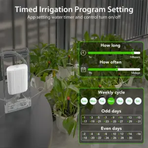 S4373165b830847d7a22584fc65769efer