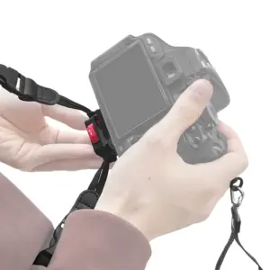 S45667bbcb6204dad86f7f4940eaaf5dcK