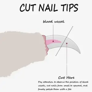 S4db2b5533b1e4f6ca83600babf7e4b77t