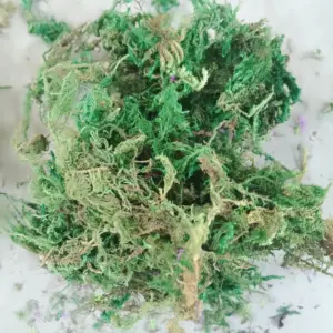 S4ddac35637cf473ab54056b7bdb7ca096