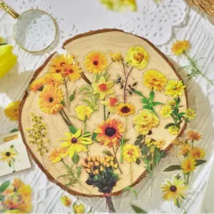 S5d62f48c28c24c73a5df550f299c5df6r