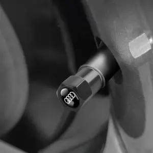 Red Aluminum Tire Valve Cap for Cars, Bikes & Motorcycles 15 S61db82c002204df082551cd0ce2eaee1s