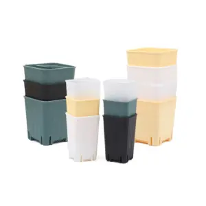 S626b3966c1834626a46c2a8a10a2e820D