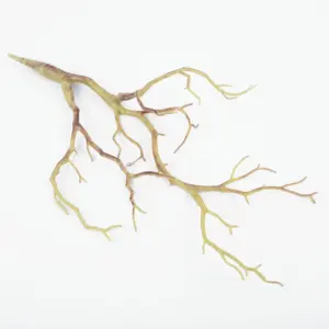 S64edfe67302c45df8eeae1eafd63c674r