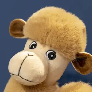 S6d2bdbbd321c4672bf6f635946c94b9cH