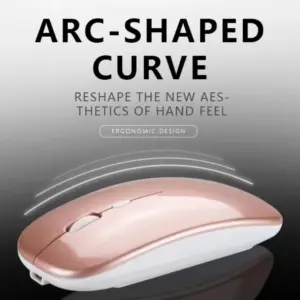 S6f89a25570bb4000803d72e8aec07f19L