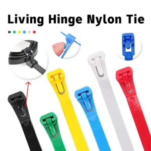 S70a5f1c36c334fb2ba8d9ef2cc7ce2ffh