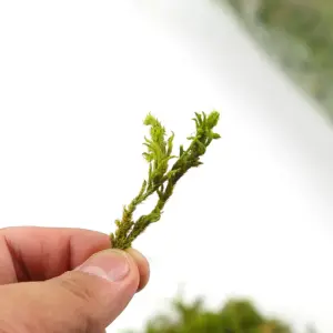 S756103698d7f4db0acc2473b0aa75220o