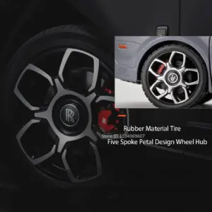 S75a2d0cd1fd0422bb8767234dbec56f63