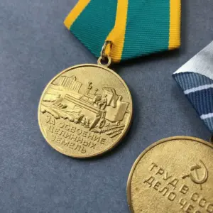 S763ed22ff34443dead5c14b23d242559z