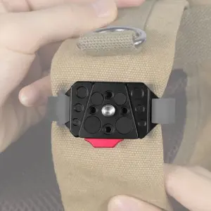 S79a28f3035824372aefee251261a6134g