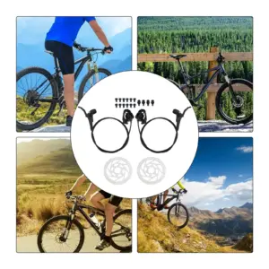 S79d21955855a44e4a013312bfb25eee1V