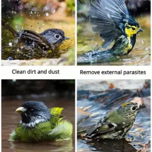 S7fbd802084964ba69402d2d815afbcc1I