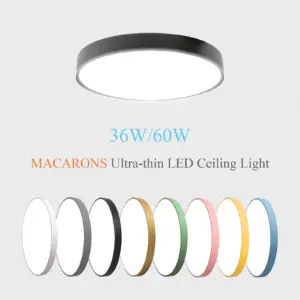 S80e4913c13b241e1bf4f5ee79e1c11a4f