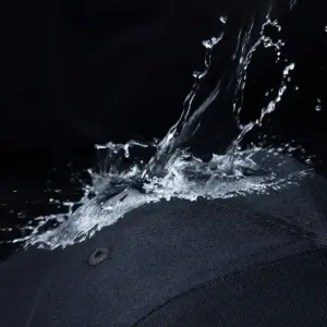 S80f316406e794dfe931dc15d35c4817bP