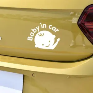 S81591c8c7cd14519b6c947f724ee9745y