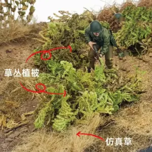 S8805f5d3368c43e6b33464646644b5b5W