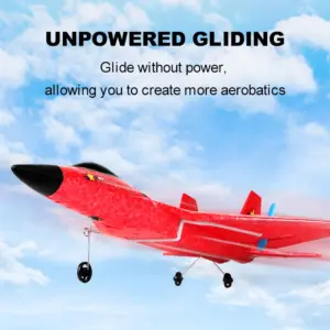 F22 RC Glider Plane 38x28x9.6cm for Beginners 10 S8cd1c8858742472bad738a668dc266a0U