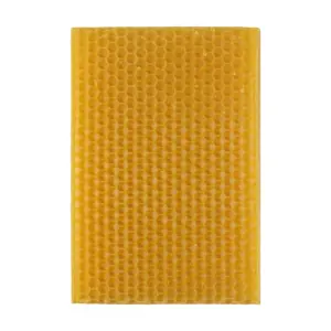 S9178b813088b4f908d63e3c0a5fadd1a9